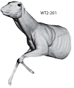 WT2-201